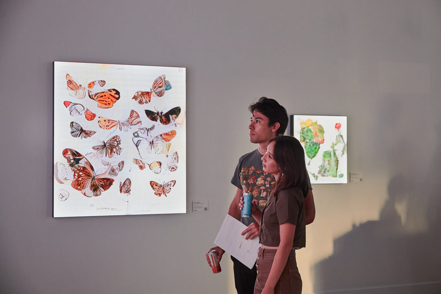 Brief Histories of Simulated Lifeforms, photo 4