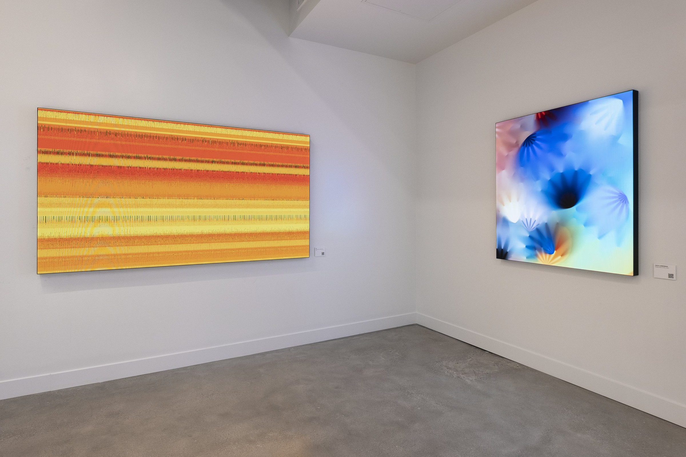 Color :: Field, installation views 2 of 12