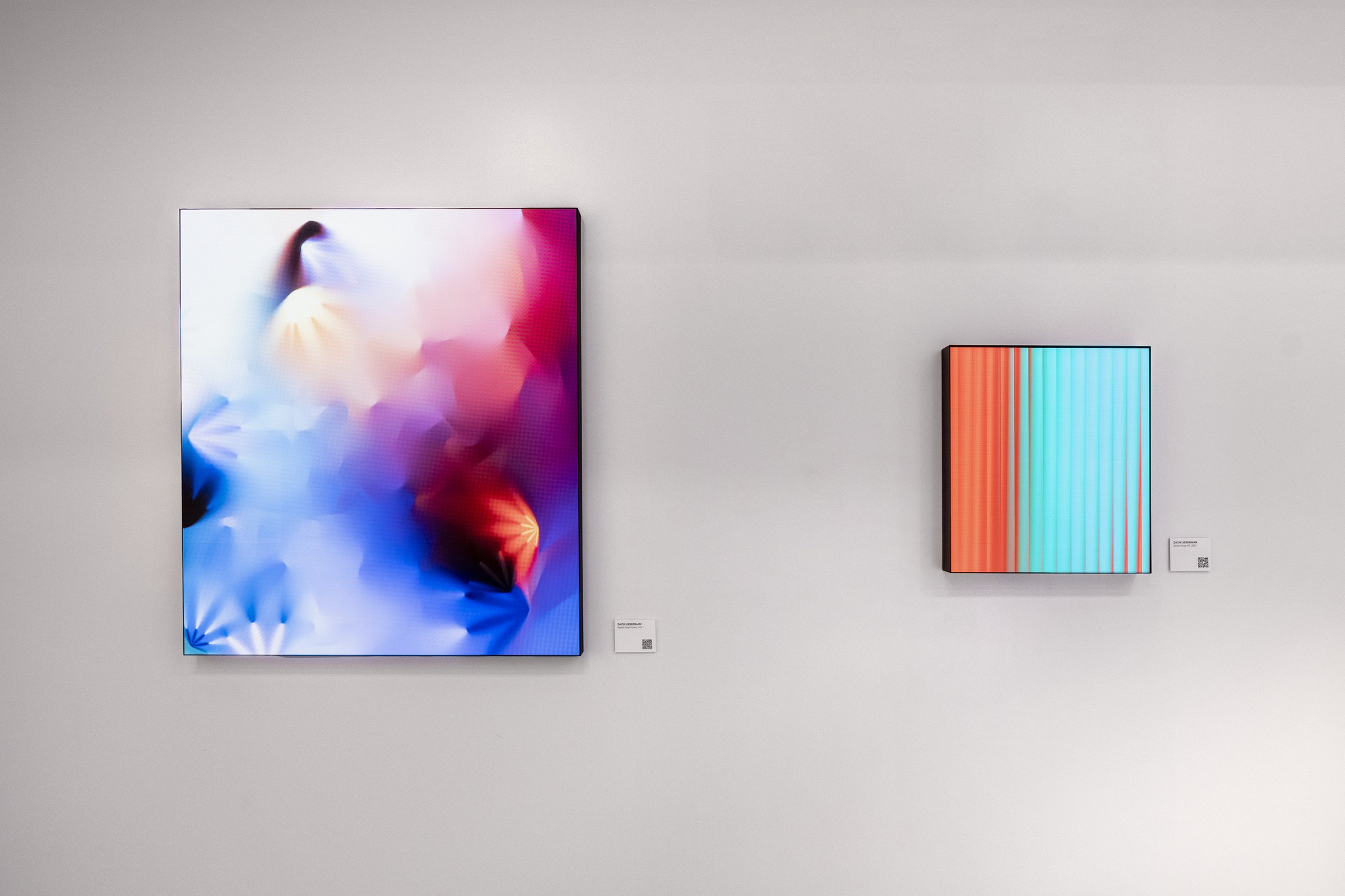 Color :: Field, installation views 5 of 12