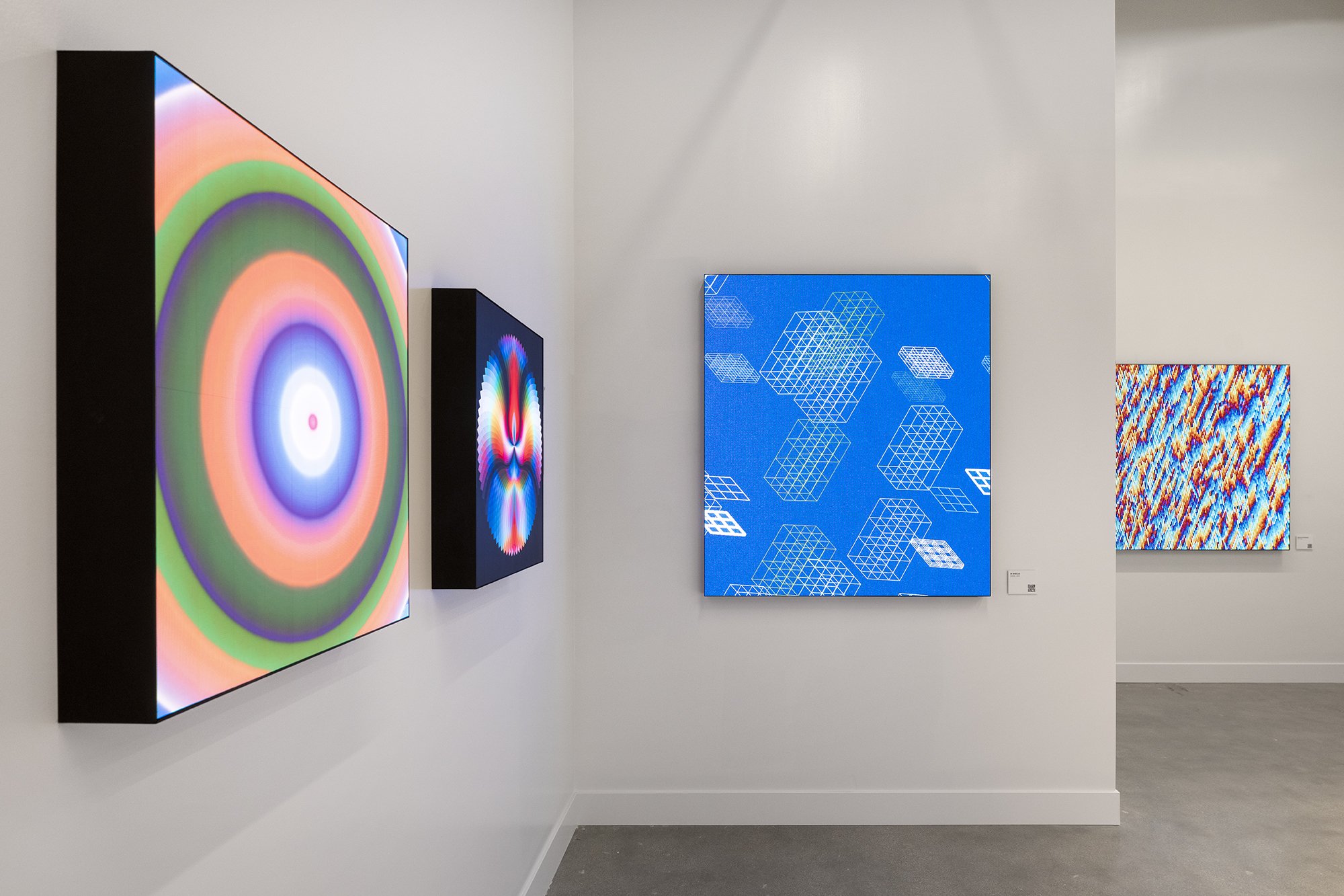 Color :: Field, installation views 10 of 12