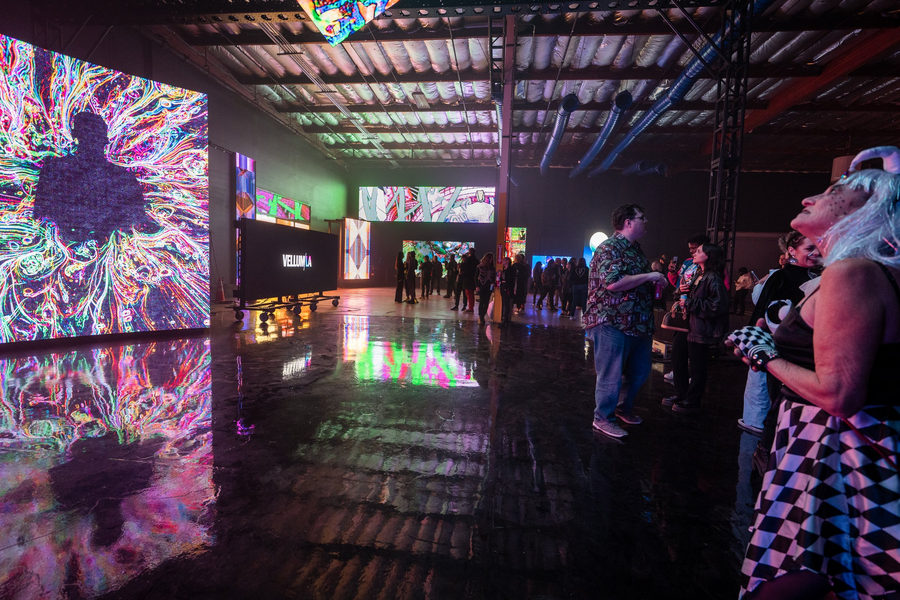 Electric Psychedelia, photo 16