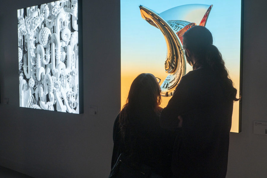 Elsewhere is a Negative Mirror, photo 6