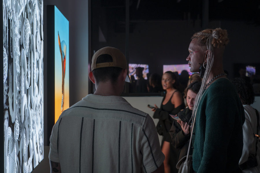 Elsewhere is a Negative Mirror, photo 16