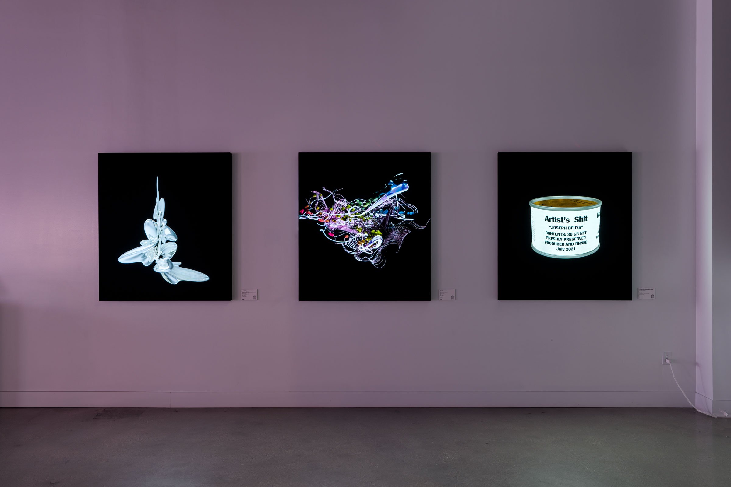 Lifelike, installation views 3 of 6