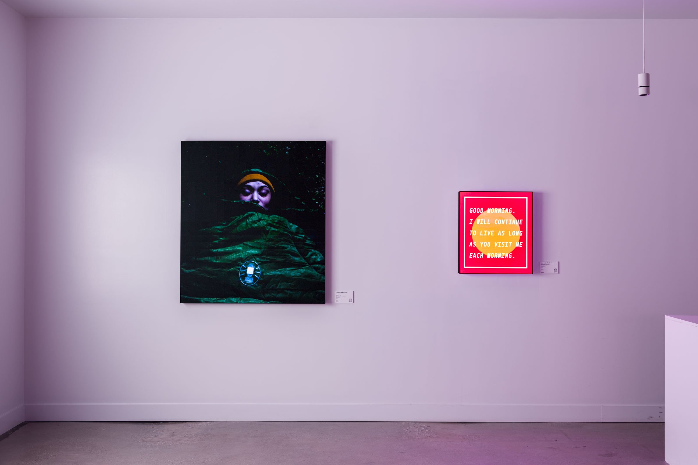 Lifelike, installation views 6 of 6