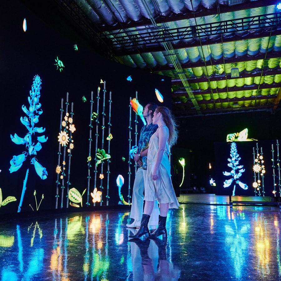 Eternal Garden, photo 3