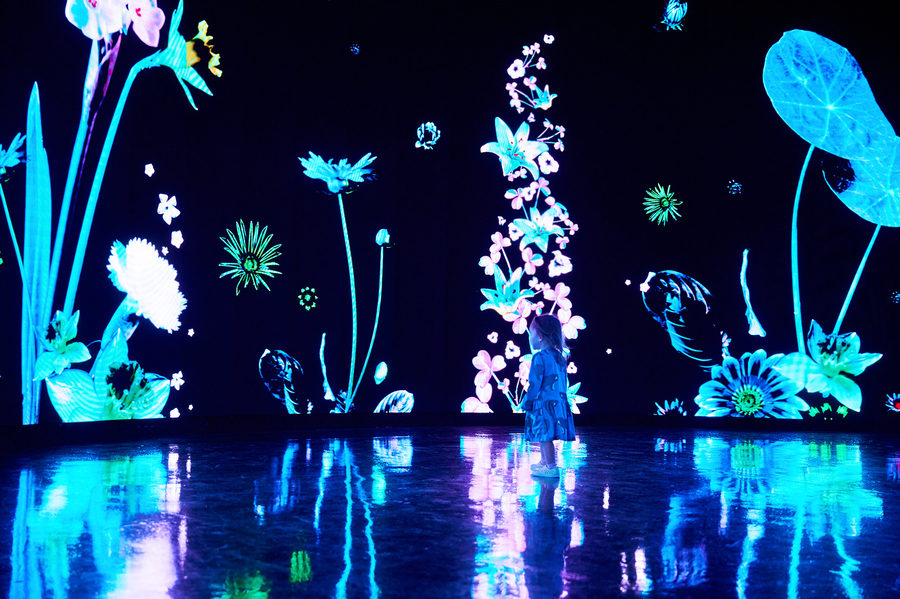 Eternal Garden, photo 5