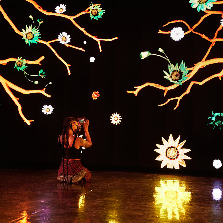 Eternal Garden, photo 14