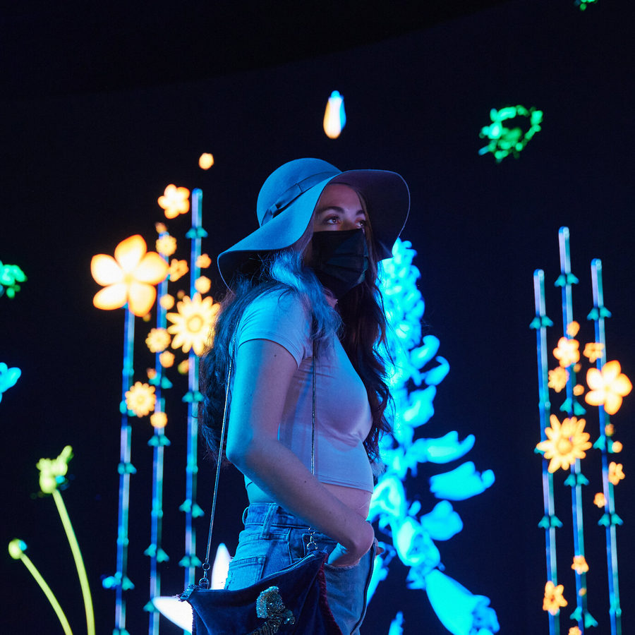 Eternal Garden, photo 17