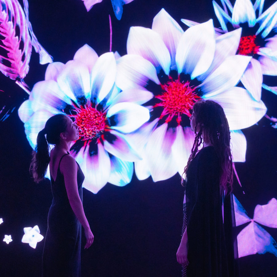 Eternal Garden, photo 18