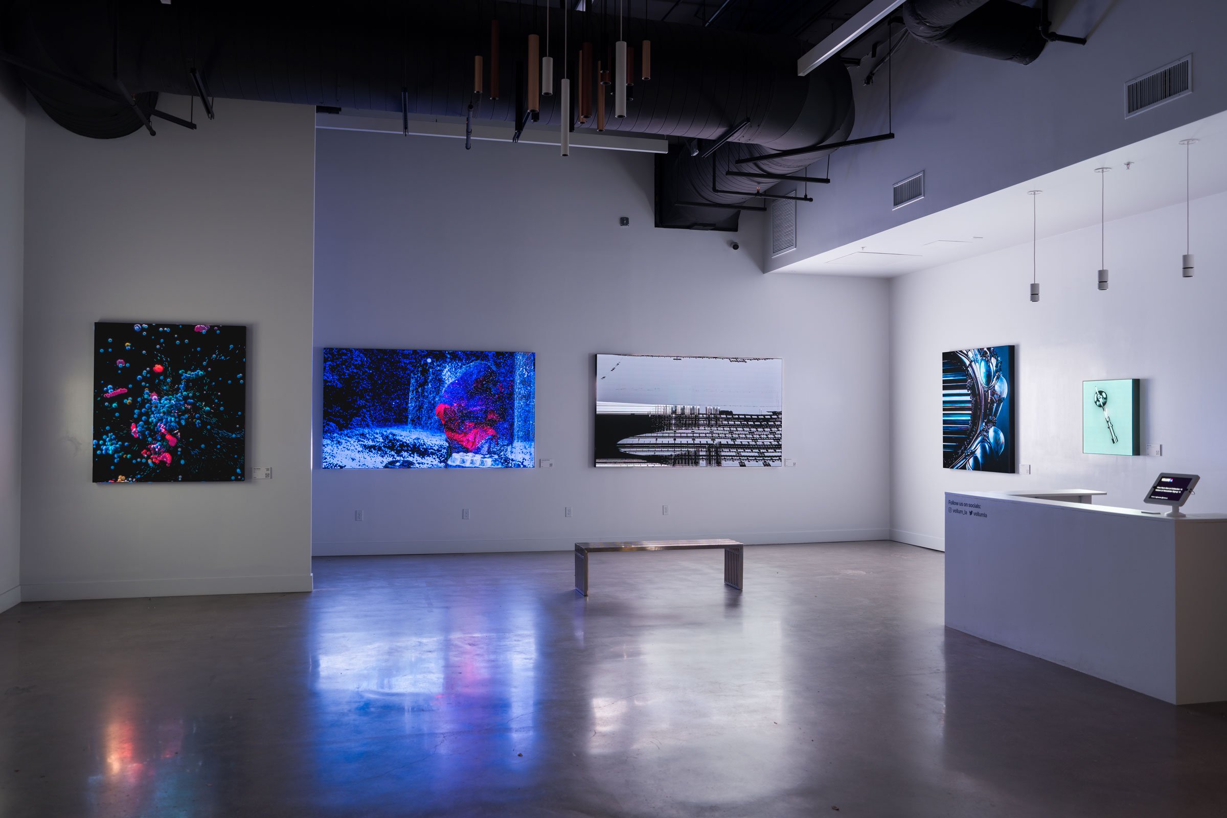 Next-Gen LA, installation views 4 of 6