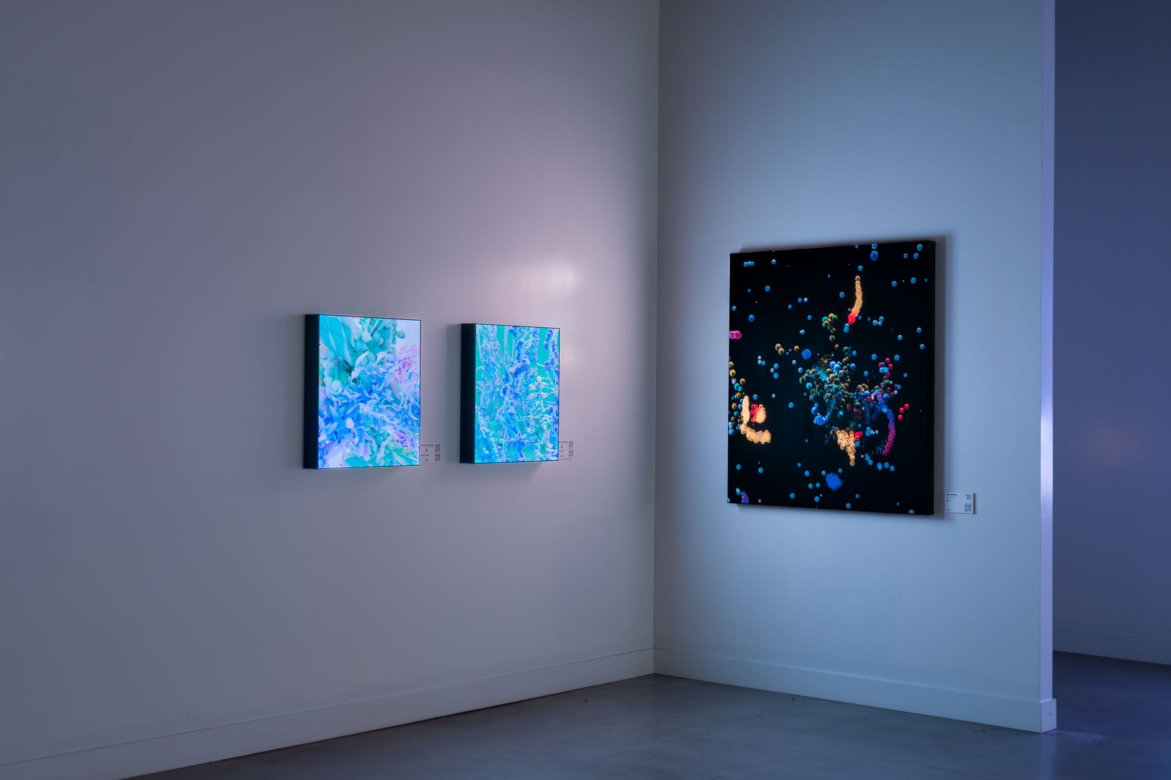 Next-Gen LA, installation views 5 of 6