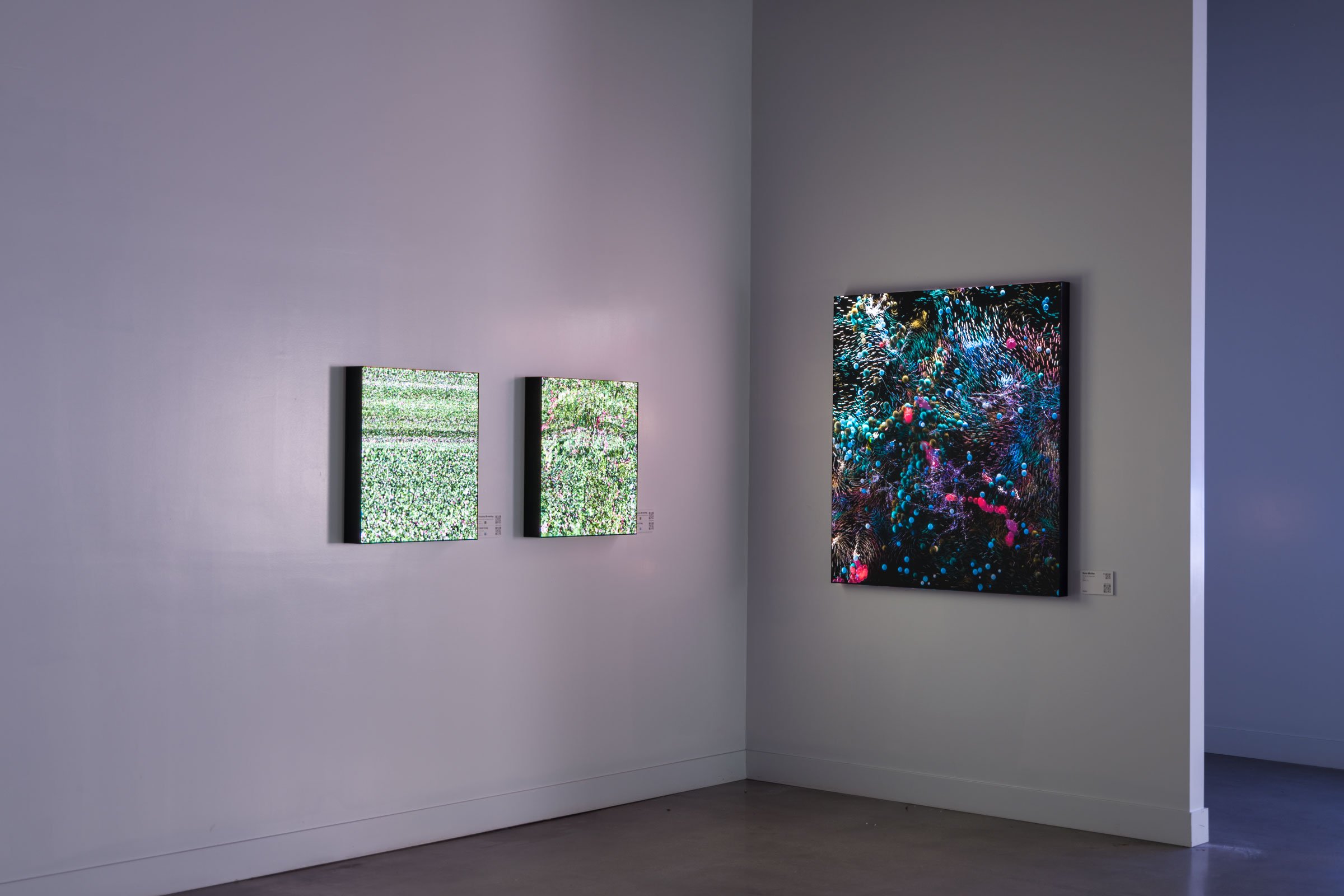 Next-Gen LA, installation views 6 of 6